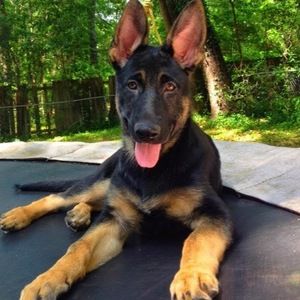 Meet your Posher, Colton